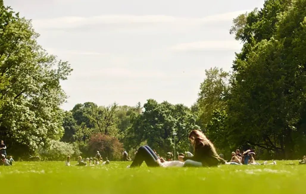 image of people laying down on a grass open space